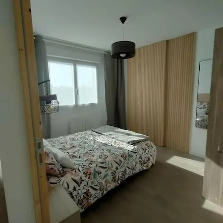 Chez Antho Et Mag 公寓 Trélazé